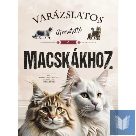 Varázslatos útmutató a macskákhoz