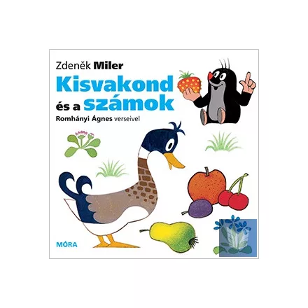 Kisvakond és a számok