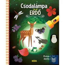 Csodalámpa és az ERDŐ