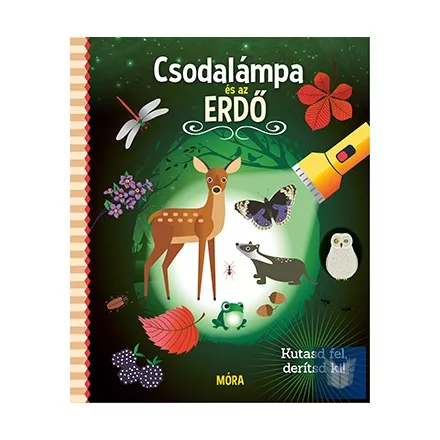 Csodalámpa és az ERDŐ