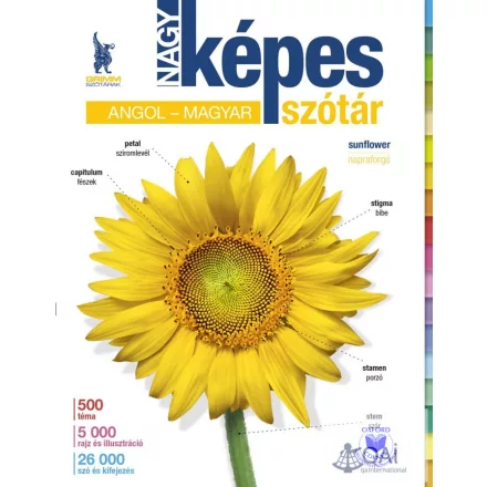 Nagy képes szótár Angol-Magyar