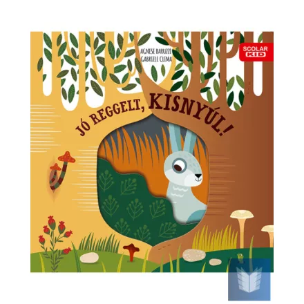 Jó reggelt, kisnyúl!