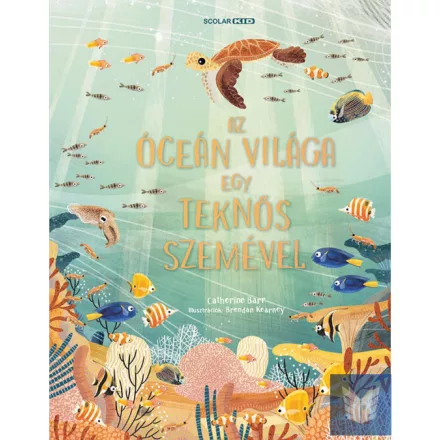 Az óceán világa egy teknős szemével