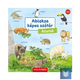 Ablakos képes szótár - Állatok