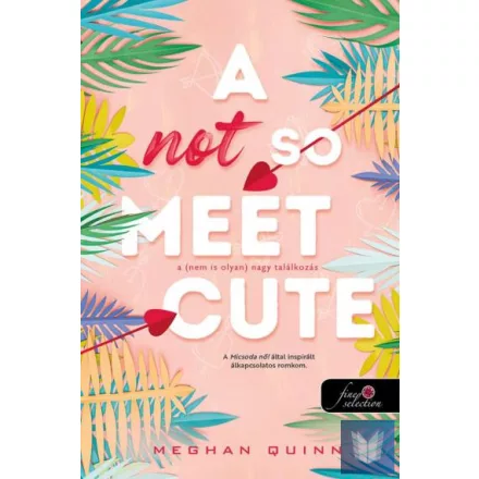 A Not So Meet Cute - A (nem is olyan) nagy találkozás (Cane Fivérek 1.)