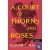 A Court of Thorns and Roses – Tüskék és rózsák udvara