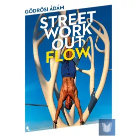 Street workout flow