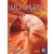 Ultimate English B1+ – Student's Book
