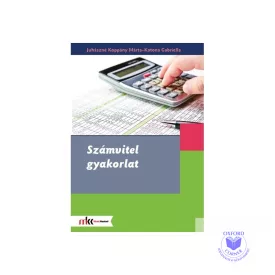 Számvitel gyakorlat
