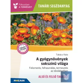 Tanári segédanyag - A gyógynövények sokszínű világa