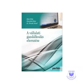 A vállalati gazdálkodás elemzése