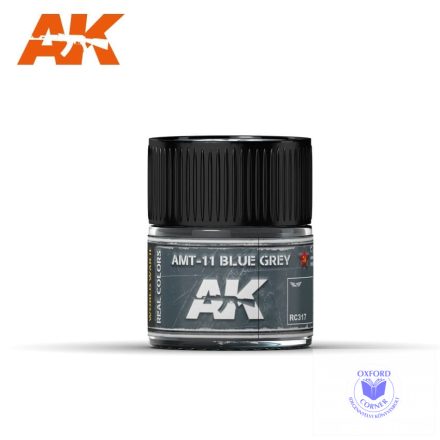 Real Color Paint - AMT-11 Blue Grey 10ml