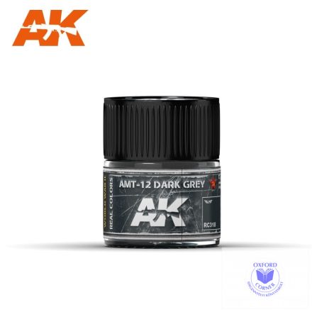 Real Color Paint - AMT-12 Dark Grey 10ml